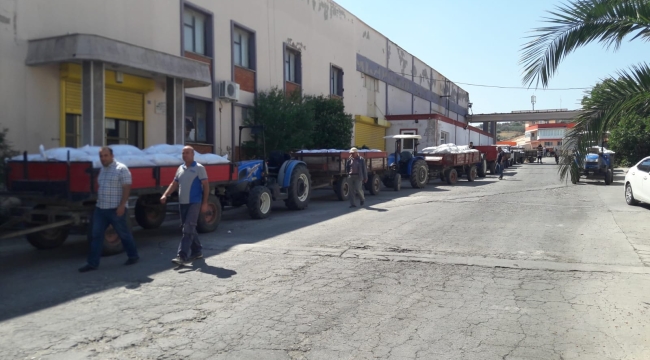 Üzüm üreticilerinde TMO'ya tepkiler 