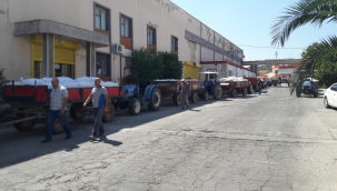 Üzüm üreticilerinde TMO'ya tepkiler 