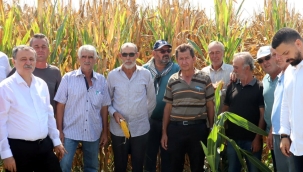 Üzümcüden sonra mısır üreticileride isyanda