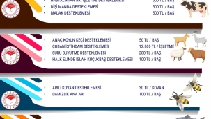 2022 hayvancılık destekleme