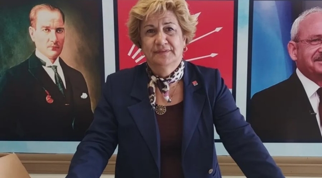 CHP'li kadınlardan ilçe kütüphaneleri için kitap kampanyası