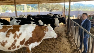 CHP'li Başevirgen"çözüm belli, iktidar uygulamaya yanaşmıyor"