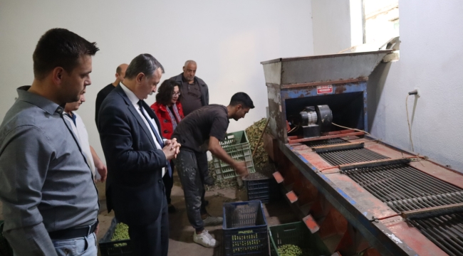 CHP'liler Saruhanlı ve Akhisar'da zeytin üreticisiyle buluştu