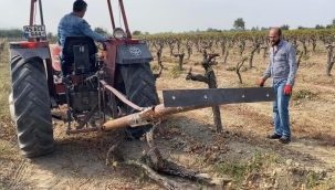 Koldere ve Kemiklidere'de bağlarını kökleyen üreticile'para kazanamıyoruz'