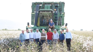 Manisa'da pamuk üretimi yüzde 50 arttı