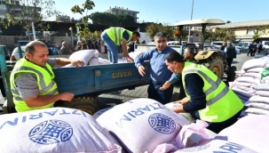 Manisa,İzmir,Burdur ve Denizli'de ekilecek