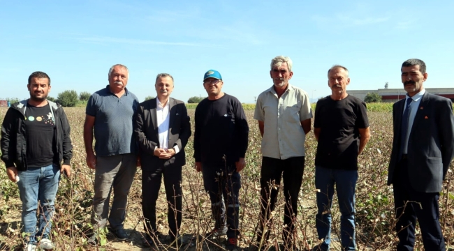 Mazot, gübre ve ilaç pamuk üreticisinin belini büktü