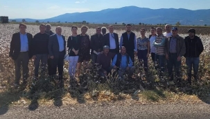 Pamuk üreticilerinin fiyat isyanı