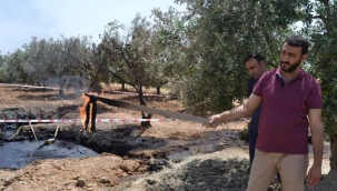 Petrol bulunan tarlasına 50 milyon dolar teklif aldı