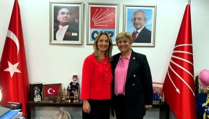 Rozetleri CHP kadın kolları genel başkanı Nazlıaka takacak
