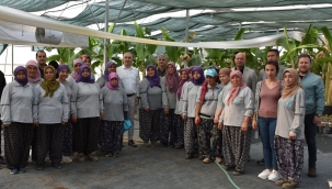 Tarımda üretici kadın sayısı artıyor