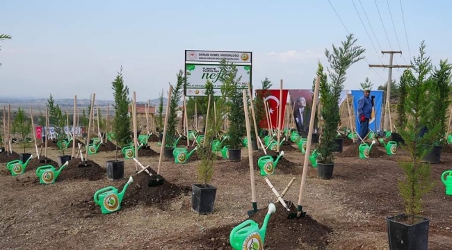 Ağaçlandırma günü 1.023 noktada fidanlar toprakla buluşuyor
