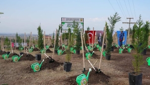 Ağaçlandırma günü 1.023 noktada fidanlar toprakla buluşuyor
