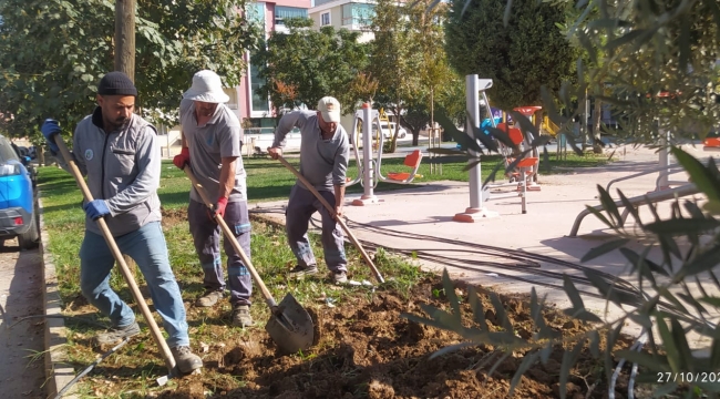 Alaşehir'de park bahçeler kışa hazırlanıyor