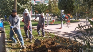 Alaşehir'de park bahçeler kışa hazırlanıyor