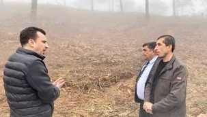 CHP'liler Dağmarmara'da ağaç katliamını gündeme taşıdı