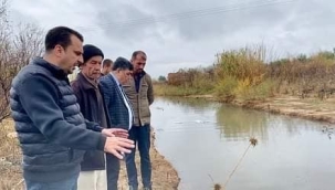 Karacaali çayındaki kirlilik ve pis koku çevreye yayıldı