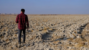 Kuraklık tarlaları vurdu: 60 ilde ekim yapılamadı