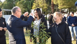 Manisa'da 53 bin 800 fidan toprakla buluştu