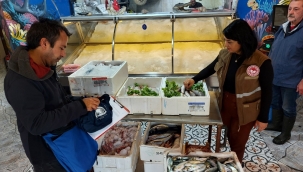 Su ürünleri tesisi ve satış yer denetimi