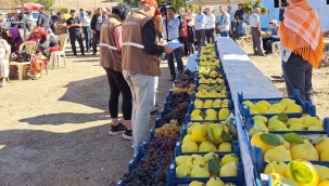 Üzüm ve ayva şenliğinde üreticiler yarıştı