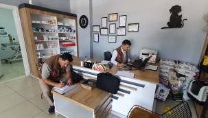 Veteriner hekim muayenehane ve poliklinik denetimleri sürüyor
