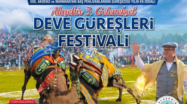 Alaşehir 3.geleneksel deve güreşleri başlıyor