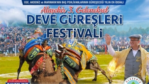 Alaşehir 3.geleneksel deve güreşleri başlıyor