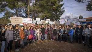 Başkan Soyer: zeytin için direneceğiz