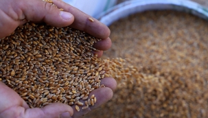 Başvurular devam ediyor