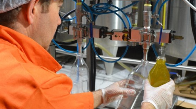 Cezaevindeki zeytinyağ fabrikası üretime başladı