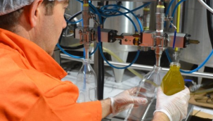 Cezaevindeki zeytinyağ fabrikası üretime başladı