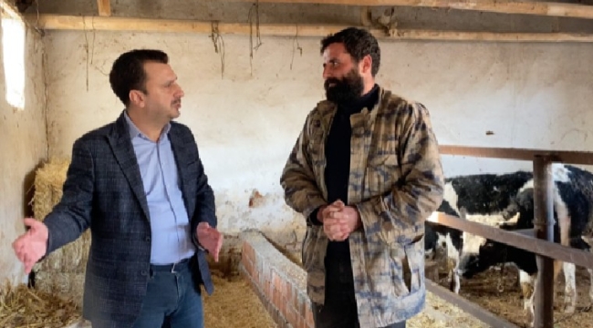CHP'li Başevirgen'hayvancılık işletmelerinin çoğu kapanıyor'