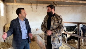 CHP'li Başevirgen'hayvancılık işletmelerinin çoğu kapanıyor'