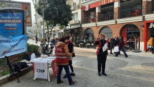 CHP'li kadınlar aile destekleri sigortası broşürü dağıttı.