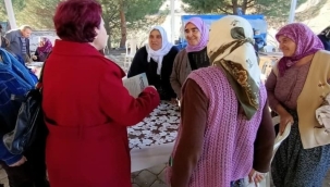 CHP'li kadınların mahalle ziyaretleri büyük ilgi görüyor