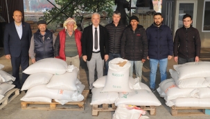  Dar gelirli çiftçilere buğday tohumu dağıtıldı
