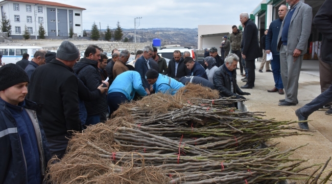 Demirci'de 14.600 meyva fidanı dağıtıldı