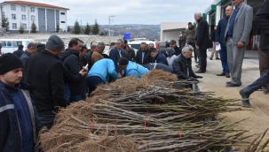Demirci'de 14.600 meyva fidanı dağıtıldı