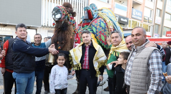 Develer güzellik için yarıştı