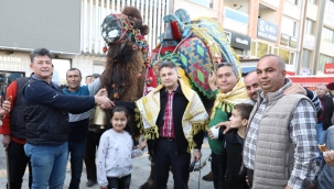 Develer güzellik için yarıştı