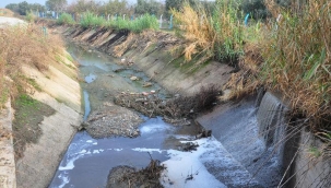 Gediz'deki kirlilik için suç duyurusu