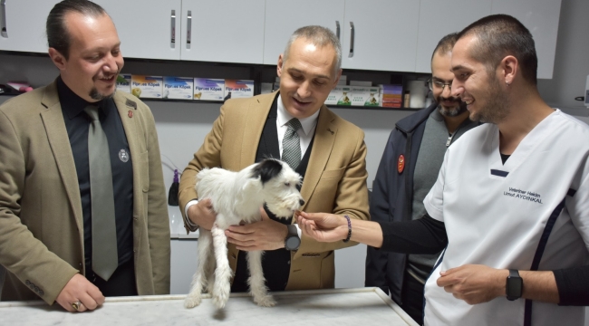 Kedi, köpek sahiplerine uyarı