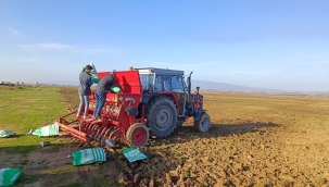 Mera ıslah ve amenajman proje uygulaması