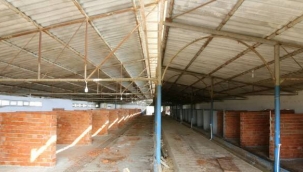 Modern hayvan bakım evi yakında açılıyor