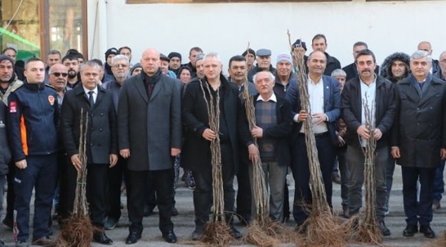 Salihli, Alaşehir ve Sarıgöl 'de ceviz, cennet hurması, incir ve badem fidanı dağıtıldı