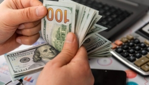 Anket yayımlandı:dolar yükseldi,enflasyon düştü