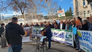 Avukat Ege berat etti