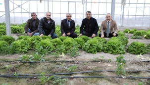 Beydere tohum sertifikasyon test incelemesi