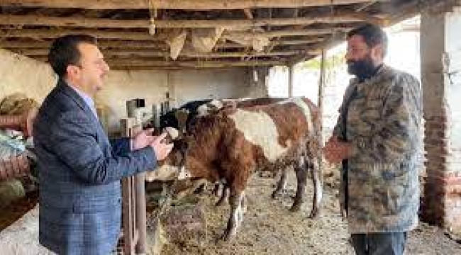 CHP'li Başevirgen,"et alamayan vatandaş sakatatı kıyma olarak kullanıyor''